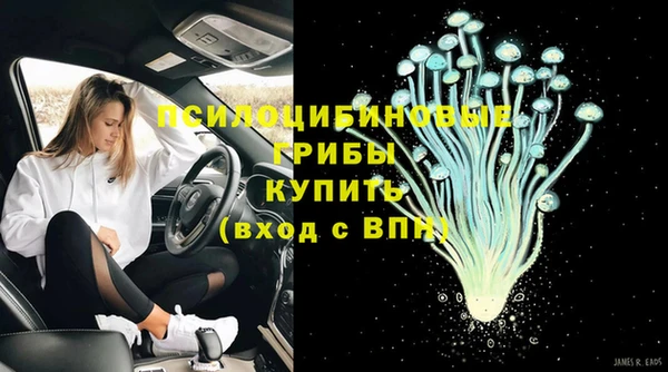 амф Заводоуковск